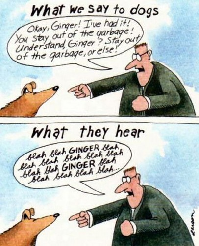 what_Dogs_Hear
