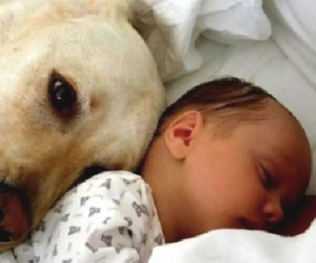 Baby sleeping with dog resting its head nearby in a cozy setting.