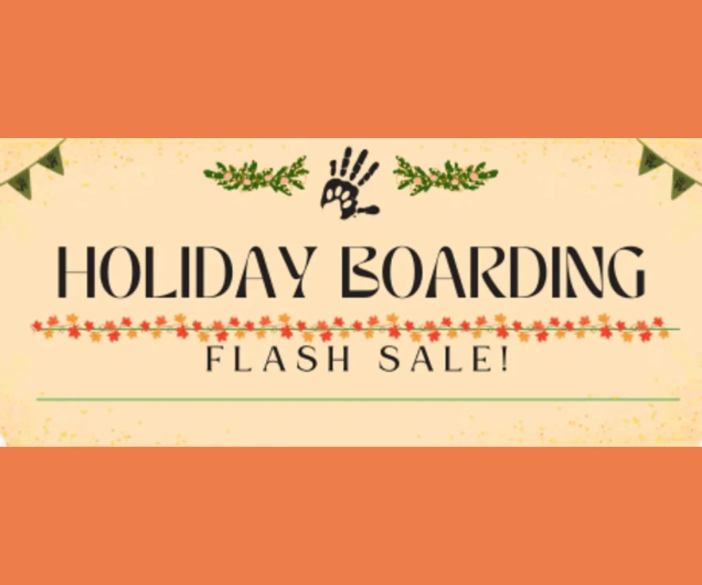 Holiday boarding flash sale banner with festive design and green accents.