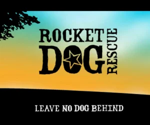 Rocket Dog Rescue logo with a star inside the letter O and a colorful background.