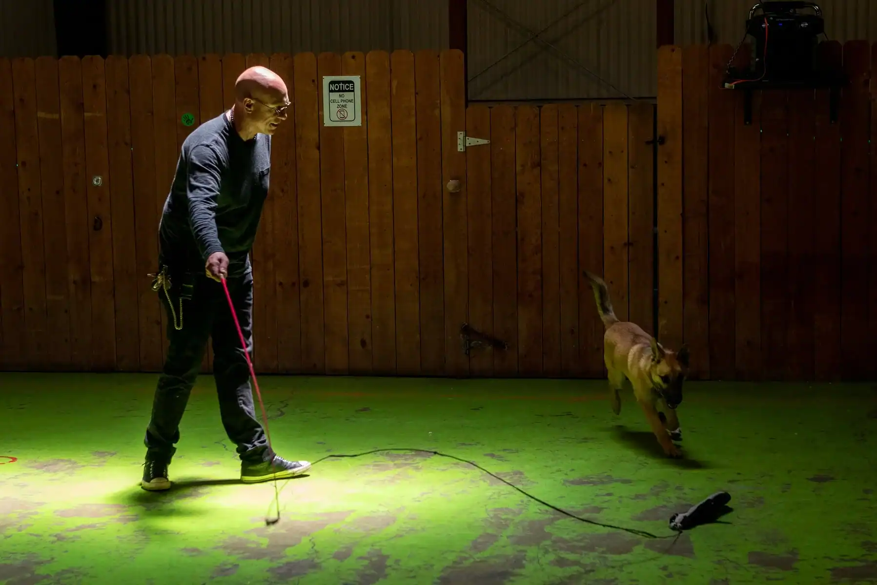 Dog training session indoors with trainer and Belgian Malinois.