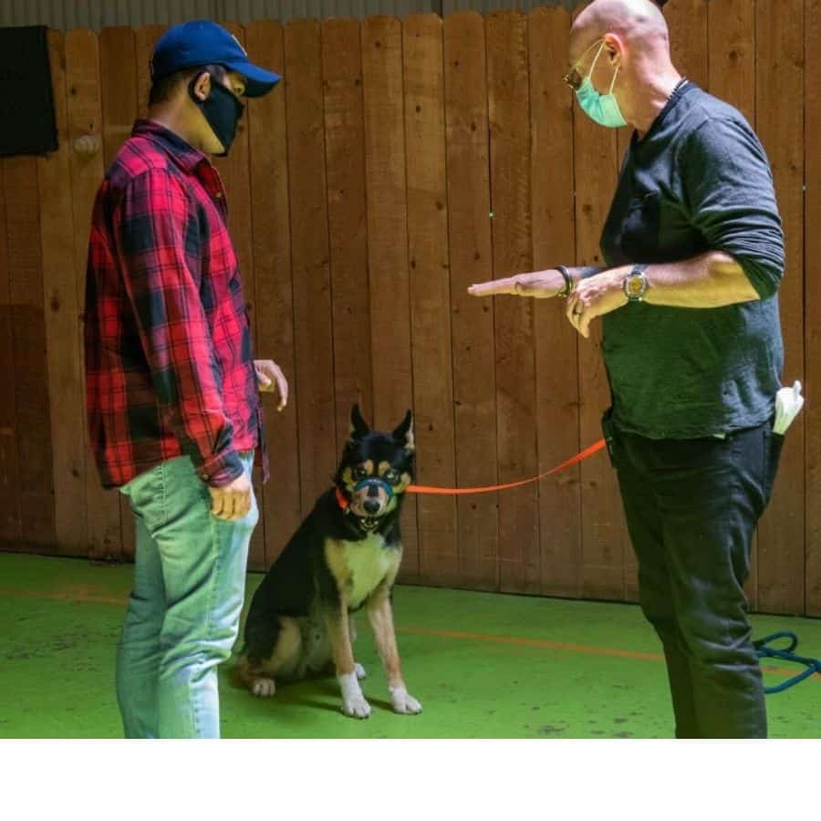 Dog training session with two trainers and a puppy in San Francisco.