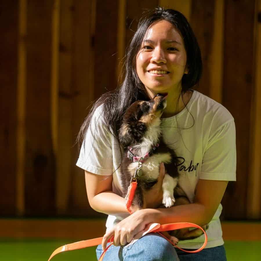 puppy seeing mom after board and train with dan perata in san francisco